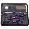 Purple Dragon Set di forbici professionali da parrucchiere Purple Dragon