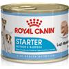 Royal Canin Dog Starter Mousse Mother & Babydog 195g