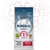 Forza10 Forza 10 Dog Medium/Maxi Sensitive Digestion Pesce 10 Kg