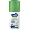 ITALSILVA COMMERCIALE Srl SAUBER DEO 48H FRESH FRESCO E ASCIUTTO VAPO 90 ML