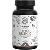 NEWEPA Srl Integratore Fito Reishi C con bromelina, 60 capsule