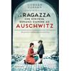 Newton Compton Editori La ragazza che scriveva romanzi d'amore ad Auschwitz
