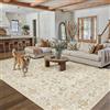 PureCozy Tappeto Salotto 300x400cm Tappeto Camera da Letto Lavabile Antiscivolo Grande Beige Tappeti Sala Cameretta Soggiorno Ufficio Carpet Pelo Corto Morbido Rug