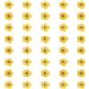 QUARKZMAN 40 Pezzi Fiori Pressati E Essiccati, 0.24-0.31 Fiori Colorati Di Narciso Essiccati E Pressati All'ingrosso Per Nail Art, Resina, Gioielli, Candele, Biglietti, Scrapbooking, Cover,