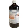 Medilife Olio di Salmone per Cani e Gatti, Integratore Naturale con Omega 3-6-9 e Vitamine, 1L