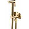 YYBAO Spruzzatore per Bidet Portatile Oro Spazzolato, Acqua Fredda Bidet Portatile Kit a Parete Ottone Doccetta per Bidets a Mano con Tubo e Supporto, per Igiene Personale Doccia Bagno WC