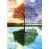 Schmidt , The Seasons Tree Puzzle - 500pc, Puzzle, Ages 12+, 1 Players