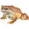 AENIMELY Statuette realistiche di animali di rana e rospo solidi per bambini, giocattoli educativi per rettili, ideali per compleanni, bomboniere e progetti scientifici (marrone)