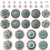 PH PandaHall PandaHall, 18 set di borchie con vite posteriore per pelle, rivetti in metallo per abbigliamento, bottoni decorativi, borse, scarpe, artigianato in pelle, cinture