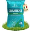 LERAVA Semi Gramigna per Prato (400 g) - Copertura 40 m² - Semi gramignone resistenti alla siccità - Ideali per prati mediterranei e costieri - Consumo d'acqua 20% ridotto