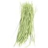 PATIKIL 100 Confezione 5-7 Pollici 13-17 cm Lunghe Piume D'Oca Verde Chiaro