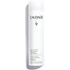 Caudalie Vinoclean Acqua d'Uva - 300 mL