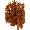 Bongiovanni Bontà Naturali Anice stellato BIO