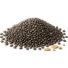 Bongiovanni Bontà Naturali Chia (semi) BIO