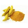 In-Fusione Curcuma Polvere Top Quality
