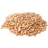 Bongiovanni Bontà Naturali Grano Tenero in chicchi BIO