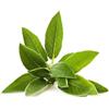 BONGIOVANNI FARINE E BONTA' NATURALI Salvia Contusa disidratata