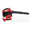 BLUEBIRD SOFFIATORE-ASPIRATORE BLUE BIRD BLV-281