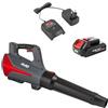 AL-KO Soffiatore a batteria LBD 1880, 520 m³/h, portata volumetrica 130 km/h, con modalità di alimentazione, batteria agli ioni di litio da 2,5 Ah da 18 V/36 V e caricatore