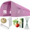 Plonos Serra a tunnel con telaio in acciaio, set con supporto per piante, 2,5 x 4 x 2 m, 10 m², rosa