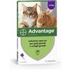 ELANCO Advantage 80 Spot On per Gatti e Conigli di Peso superiore a 4Kg, Kit x 2 pezzi (2 Pezzi)