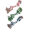 Gimborn GimDog Corda in Cotone con 2-3-4 Nodi, 1,8cm, 2 Nodi