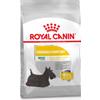 Royal Canin Dog Adult Mini Dermacomfort, 1 Kg