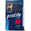 Prolife Dog Smart Adult Beef & Rice - Giant, 12 Kg