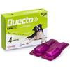 Candioli Duecto per Cani Taglia Media 10-20Kg, Kit x 2 pezzi (2 Pezzi)