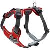 Hunter Pettorina Divo - Rosso e Grigio, S
