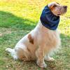 Leo Pet Paraorecchie Impermeabile, S