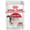 Royal Canin Cat Adult Instinctive Jelly (in gelatina) 85g, Kit x 12 pezzi (12 Pezzi)
