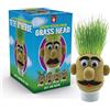 Funtime Gifts Grasshead - Testa per coltivare l'erba, colore: Verde