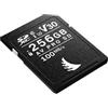 Angelbird scheda di memoria 256GB SD AVpro UHS-I V30