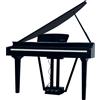 Echord GP10B BLACK Pianoforte Digitale a codino 88T Pesati HAG + Suoni+EFX, Nero