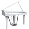 Echord GP10W WHITE Pianoforte Digitale a codino 88T Pesati HAG+Suoni+EFX, Bianco