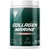 Trec Nutrition Trec Collagen Marine Sport & Beauty 300 Grammi Frutti di Bosco