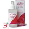 ARGITAL SRL ACQUA PROFUMATA DI ROSA 125 ML