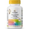 Warnke Vitamina B-3 100 mg - 250 compresse 250 St