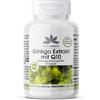 Warnke Vitalstoffe - Estratto di ginkgo con Q10 90 St