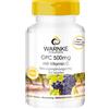 Warnke Vitalstoffe - OPC 500 mg con vitamina C 120 St