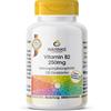 Warnke Vitamina B2 250 mg 100 pz Compresse rivestite con film