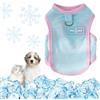 Yaopelky Gilet rinfrescante per cani, maglietta estiva per animali domestici, traspirante, ad asciugatura rapida, per cani e gatti, blu (blu, M (2,5-4 kg))