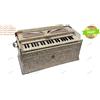 Fatto a mano BINA SPL? NANAKSAR/RARA SAHIB? 3,5 ottave triplo soffietto Double Reed Harmonium