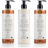 Prija thehotelery.de PRIJA XL Set 3 x 380 ml sapone liquido ginseng, shampoo per pelle e capelli, lozione per il corpo, spa hotel, sapone rivitalizzante con ginseng, lozione per mani e corpo con vitamina E