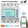 Tuya Contatore di Energia Trifase Smart WiFi 100A per Fotovoltaico con Monitoraggio Bidirezionale