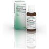 BIOLOGISCHE HEILM. HEEL DROSERA HOMACCORD*OS GTT 30ML