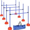 PawHut Set Agility per cani con 4 ostacoli e borsa da trasporto per allenamento salti, 124x19,5x103 cm, Blu | Aosom Italy