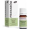 Pranarom Elicriso Italico Foglia Olio Essenziale Bio 5ml