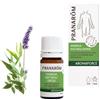 Pranarom Aromaforce Soluzione Naturale Bio Difese Immunitarie 5ml